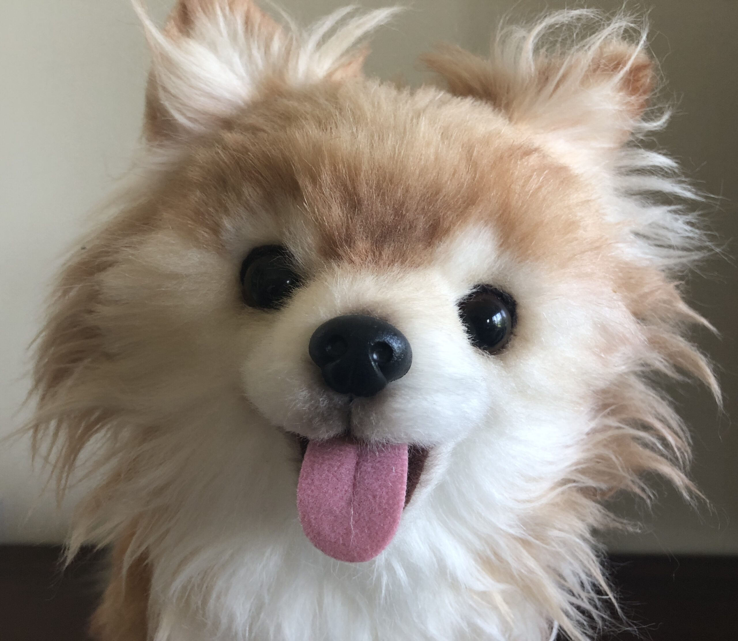 tanuki